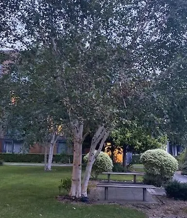 Oasis In Heart Of Appartement Dublin